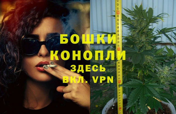 apvp Богданович