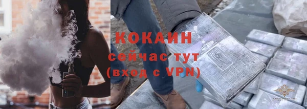 apvp Богданович