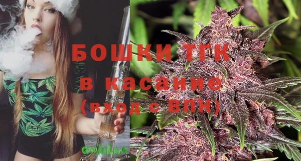 apvp Богданович
