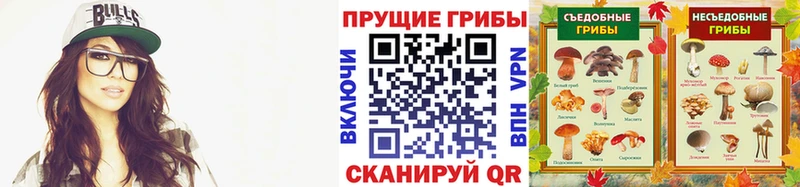 цена наркотик darknet клад Галлюциногенные грибы Psilocybe Могоча