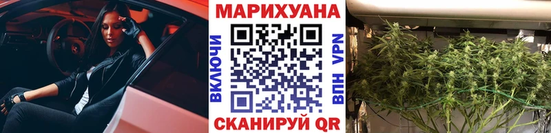 Конопля конопля  Могоча 